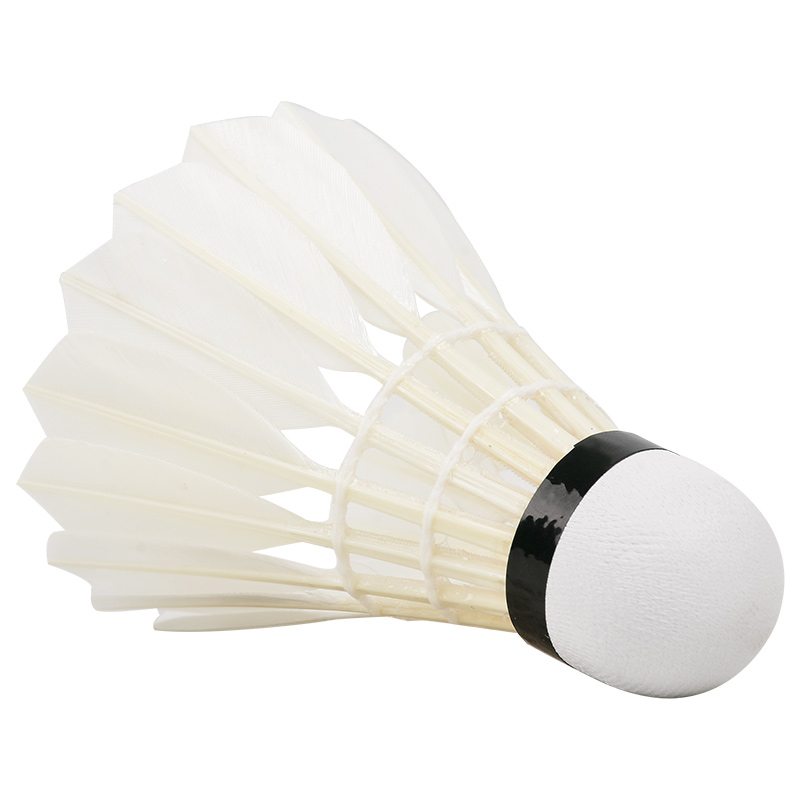 Volant de Danemark minton prof - Badminton Victor avis et prix