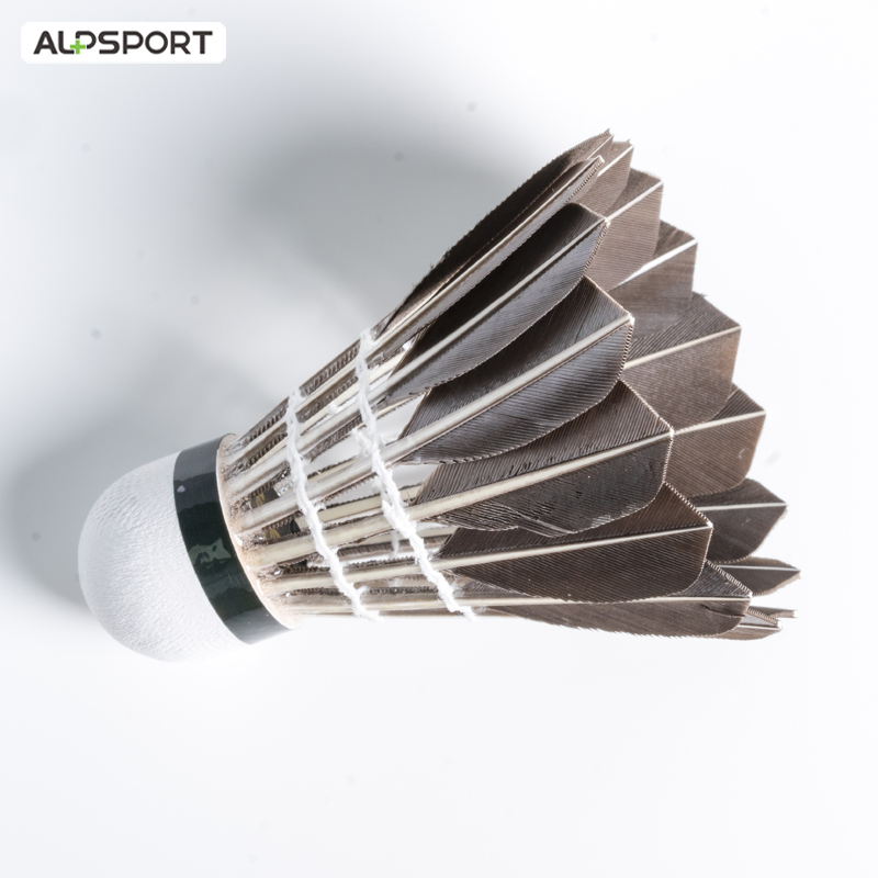 Volants de Badminton ALP 806,  - Badminton Victor avis et prix