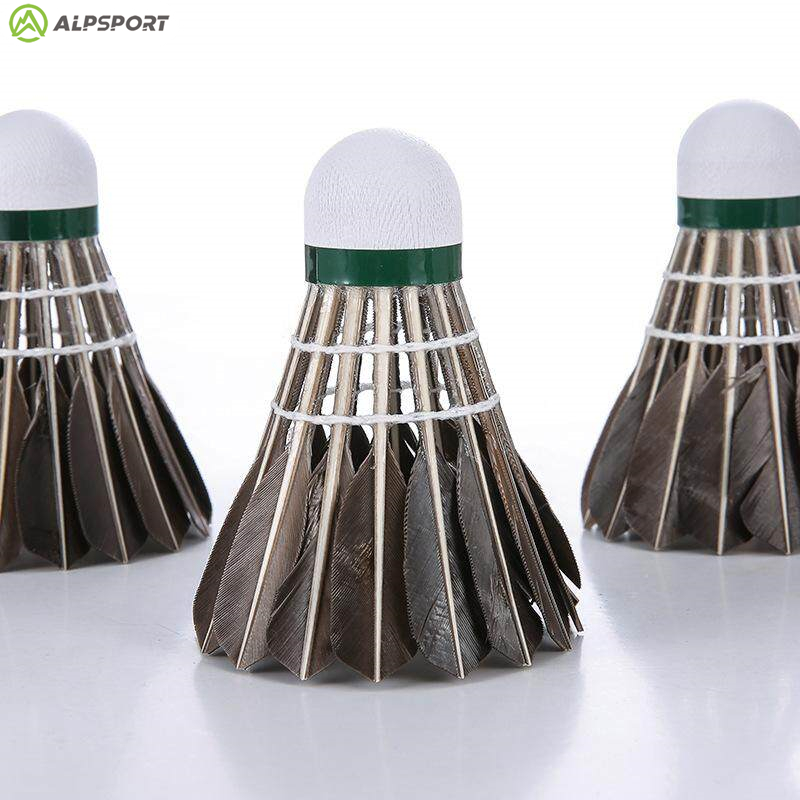 Volants de Badminton ALP 806,  - Badminton Victor avis et prix