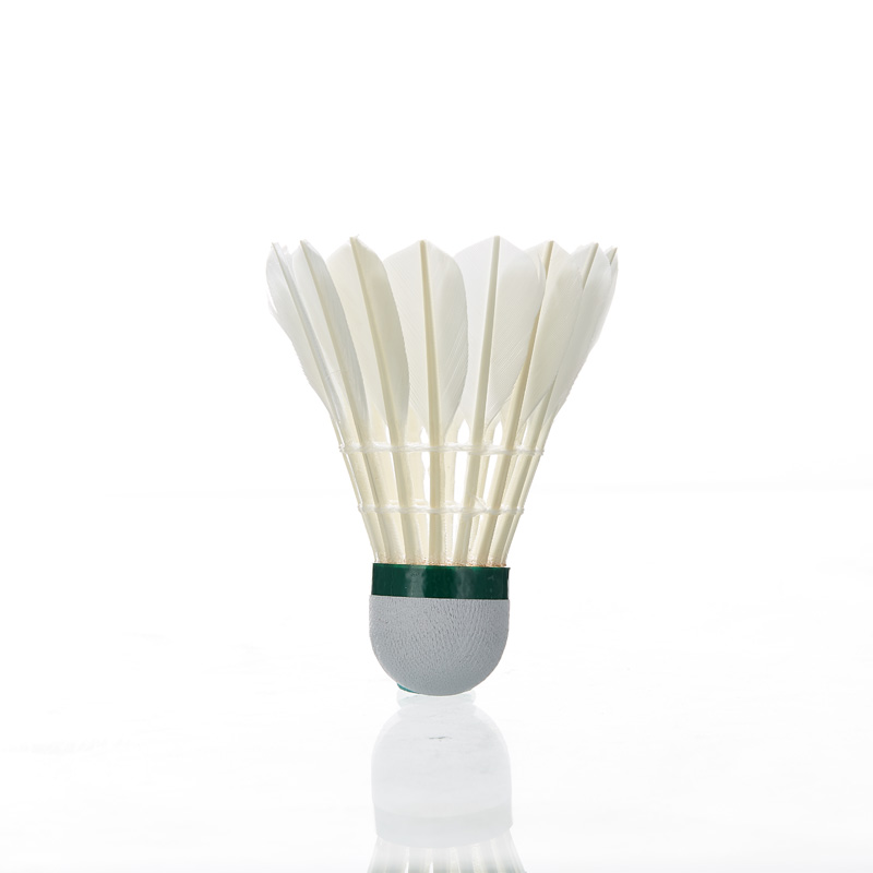 Kawasaki-Volant Plume 8E pour  - Badminton Raket avis et prix
